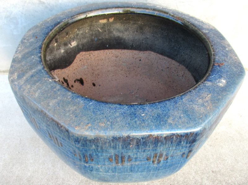 ニュースイメージ1